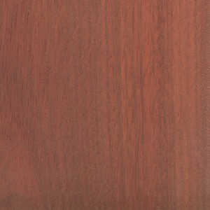 bloodwood