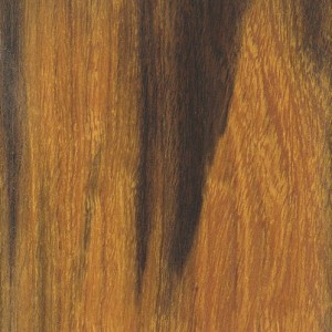 desert-ironwood