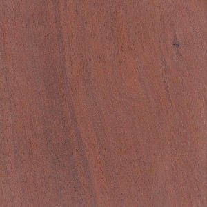 jarrah-s