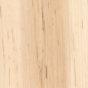 striped-maple