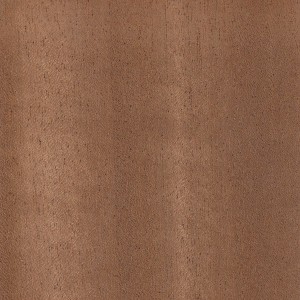 african-walnut-s