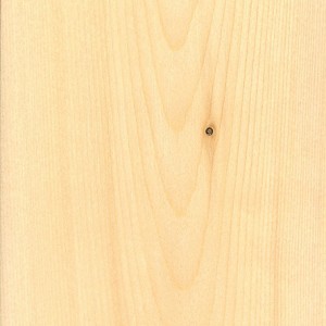 alaska yellow cedar