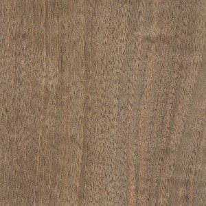 english-walnut