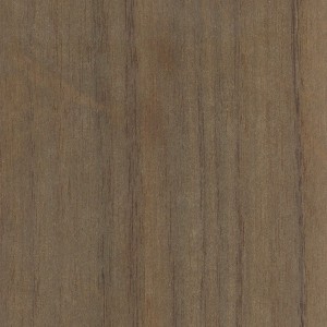 queensland-walnut